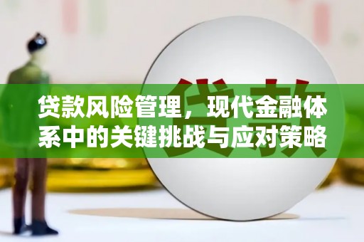 上城贷款风险管理，现代金融体系中的关键挑战与应对策略