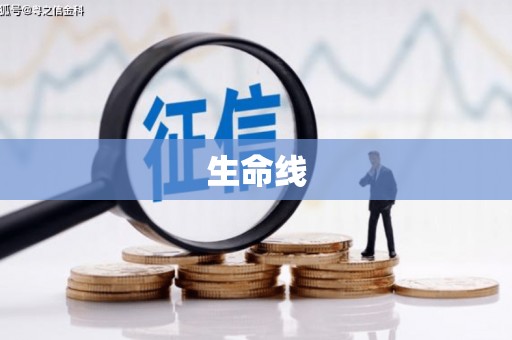 上城生命线