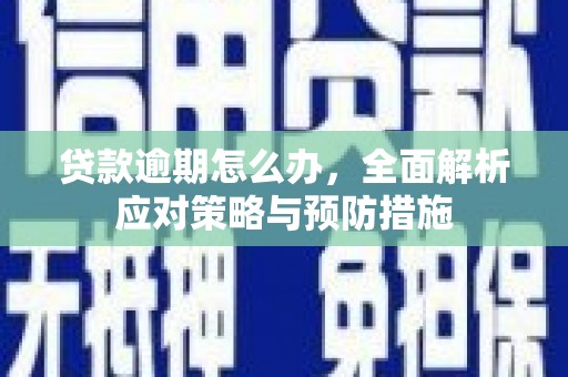 上城贷款逾期怎么办，全面解析应对策略与预防措施