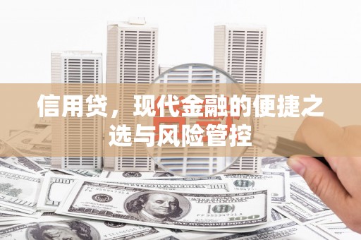 上城信用贷，现代金融的便捷之选与风险管控