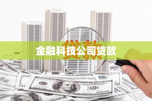 上城金融科技公司贷款