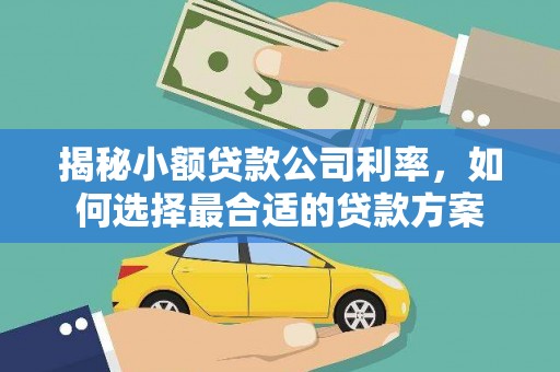 上城揭秘小额贷款公司利率，如何选择最合适的贷款方案