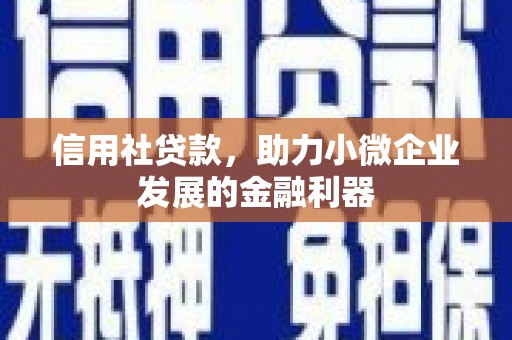 上城信用社贷款，助力小微企业发展的金融利器