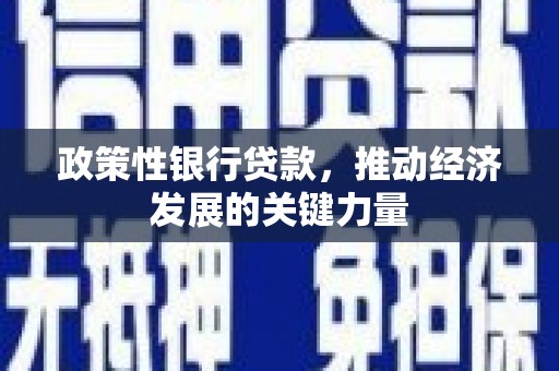上城政策性银行贷款，推动经济发展的关键力量