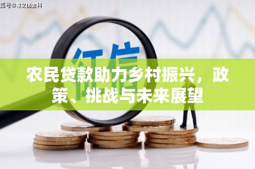 上城农民贷款助力乡村振兴，政策、挑战与未来展望
