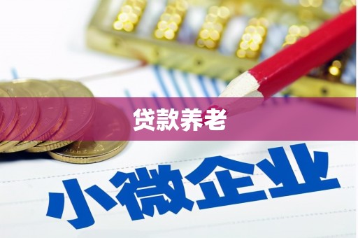 上城贷款养老