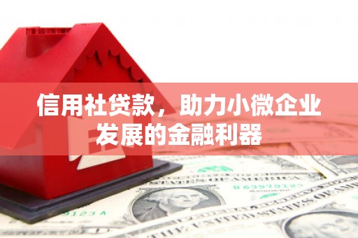 上城信用社贷款，助力小微企业发展的金融利器