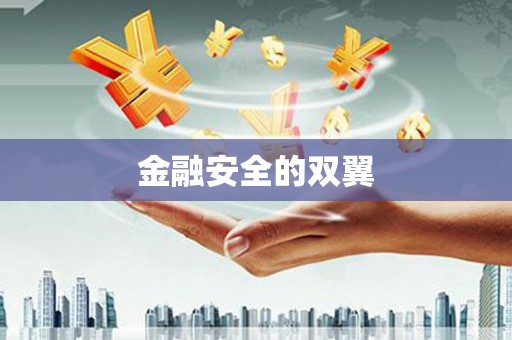 上城金融安全的双翼