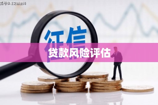 上城贷款风险评估