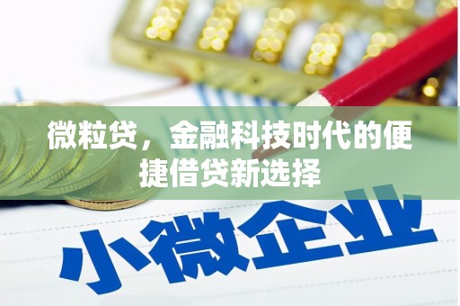 上城微粒贷，金融科技时代的便捷借贷新选择
