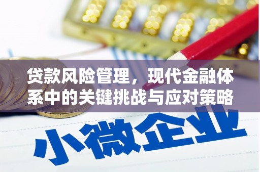 上城贷款风险管理，现代金融体系中的关键挑战与应对策略