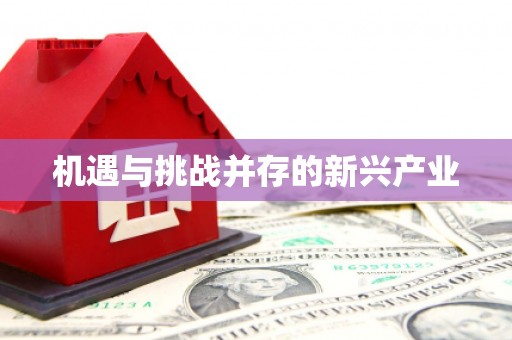 上城机遇与挑战并存的新兴产业