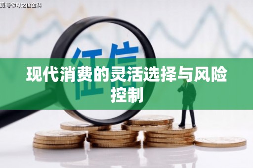 上城现代消费的灵活选择与风险控制