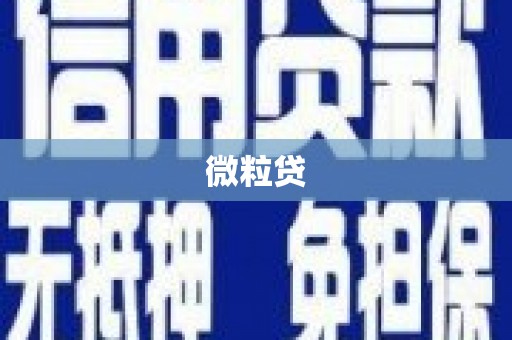 上城微粒贷