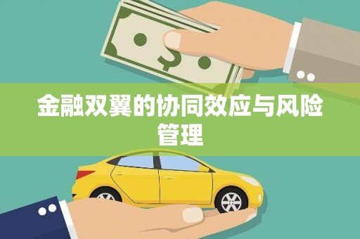 上城金融双翼的协同效应与风险管理