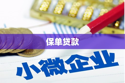 上城保单贷款